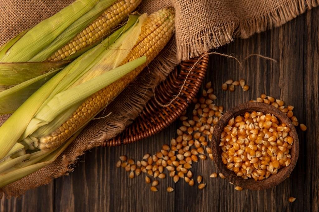 Fresh maize and corn kernels